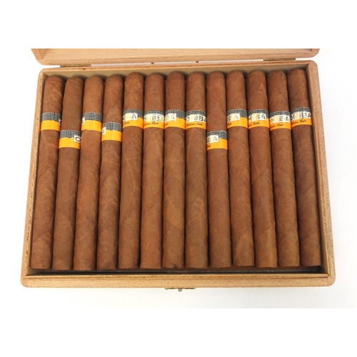 126 - Cased set of Cohiba Esplendidos Habana Cuban cigars, each cigar 17cm long