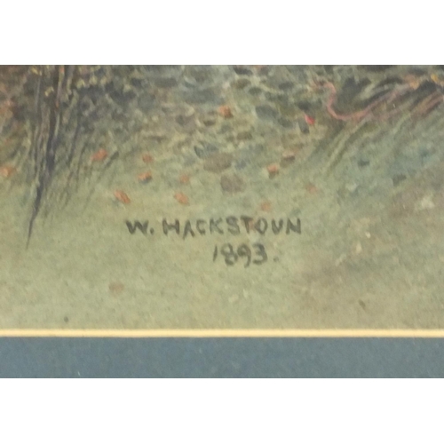 1308 - W. Hackstown 1893 - Watercolour view of a Continental mountain scene with church, mounted and framed... 