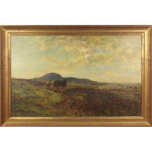 1298 - W.D. McKay - Spring Ploughing in Galway - Oil onto canvas, mounted in a gilt frame, 74cm x 46cm excl... 