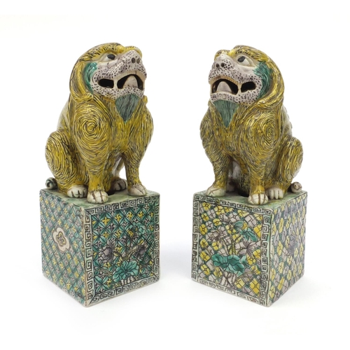 558 - Two oriental Chinese stoneware lion dogs hand painted with floral bases, each 26cm high