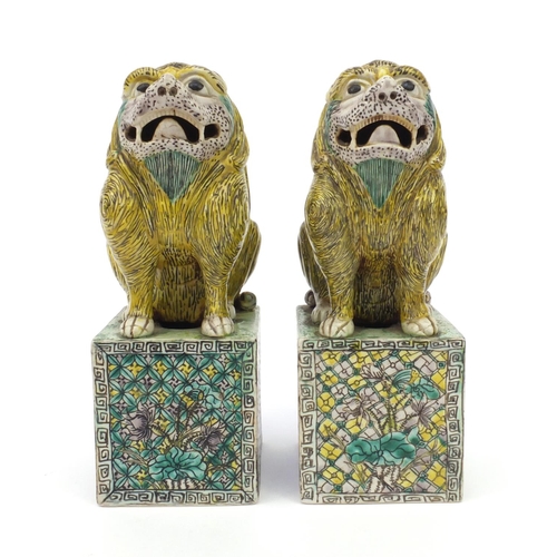 558 - Two oriental Chinese stoneware lion dogs hand painted with floral bases, each 26cm high