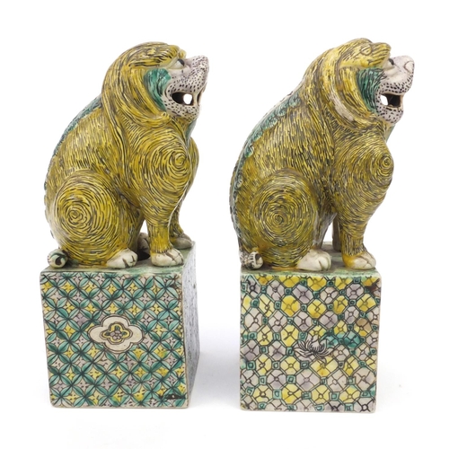 558 - Two oriental Chinese stoneware lion dogs hand painted with floral bases, each 26cm high