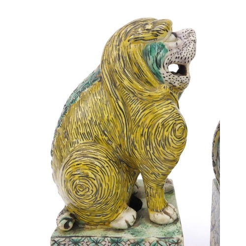 558 - Two oriental Chinese stoneware lion dogs hand painted with floral bases, each 26cm high