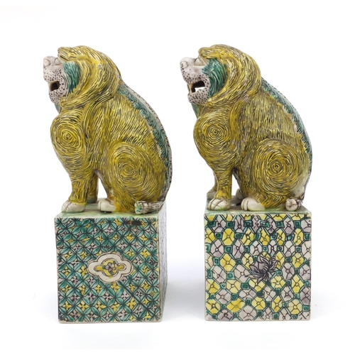 558 - Two oriental Chinese stoneware lion dogs hand painted with floral bases, each 26cm high