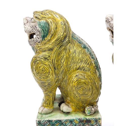 558 - Two oriental Chinese stoneware lion dogs hand painted with floral bases, each 26cm high