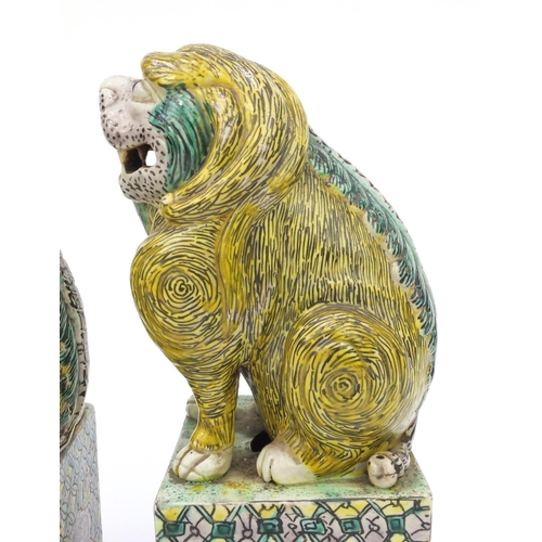 558 - Two oriental Chinese stoneware lion dogs hand painted with floral bases, each 26cm high