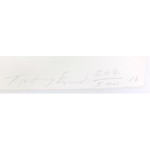 1287 - Tracey Emin limited edition etching of a cat, Tracey Emin No. 204/300, pencil signature 'For You',  ... 