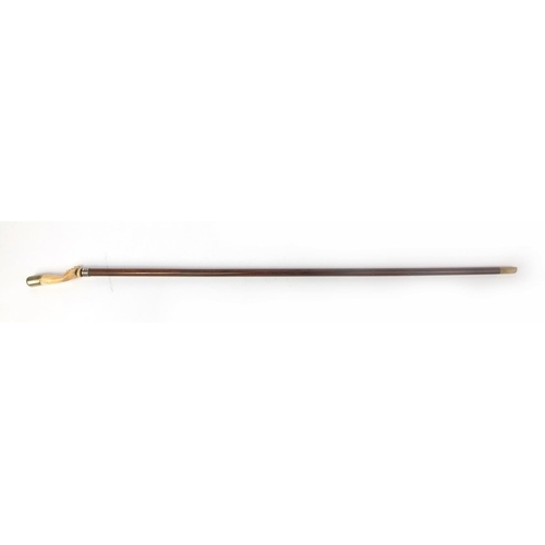 65 - Rosewood walking stick with ivory handle modelled as a clenched fist with silver plated top, 92cm lo... 