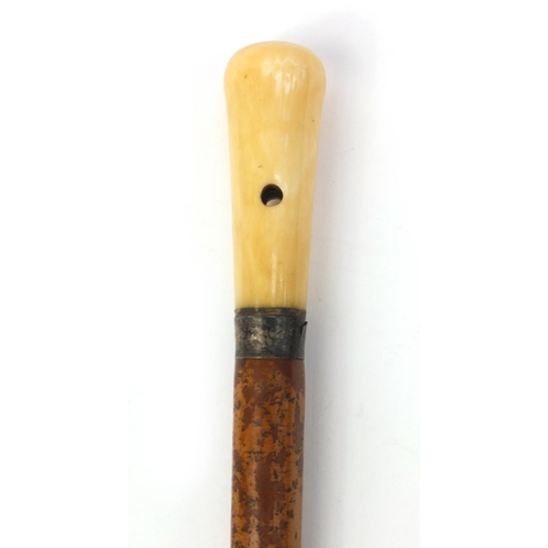 70 - Malacca walking stick with ivory pommel inset with a compass and silver collar, 96cm long