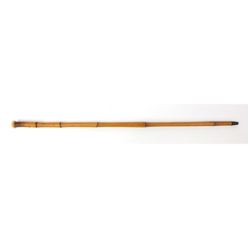 69 - Bamboo walking stick with ivory pommel inset with a compass, 95cm long