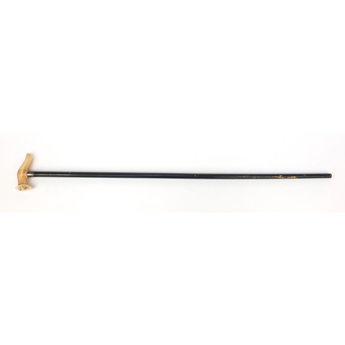 71 - Victorian ivory topped walking stick with silver collar, 86cm long