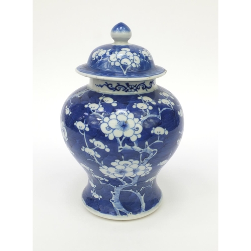 545 - Oriental Chinese porcelain ginger jar and cover hand painted with prunus pattern, 25cm high