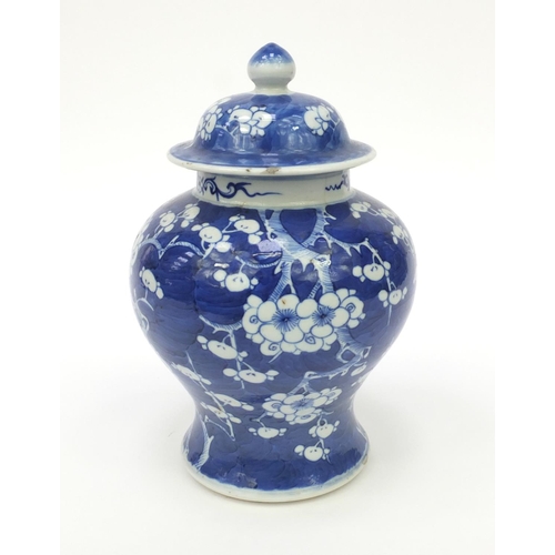 545 - Oriental Chinese porcelain ginger jar and cover hand painted with prunus pattern, 25cm high