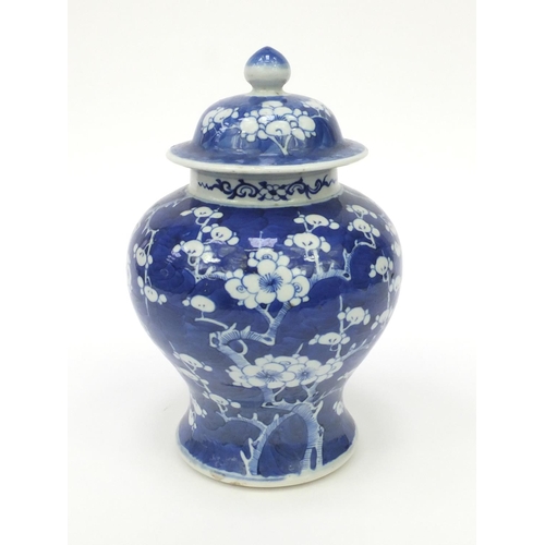 545 - Oriental Chinese porcelain ginger jar and cover hand painted with prunus pattern, 25cm high