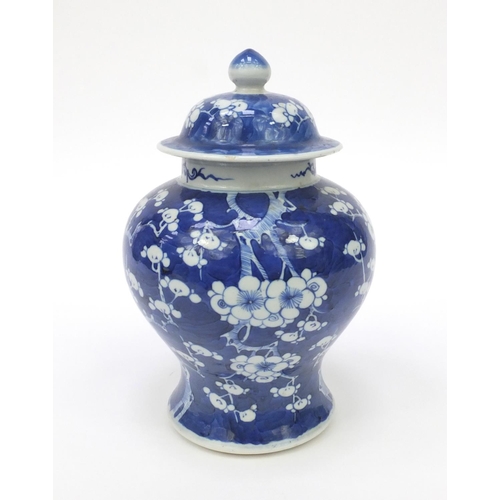 545 - Oriental Chinese porcelain ginger jar and cover hand painted with prunus pattern, 25cm high