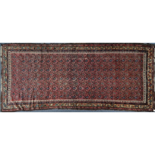 2037 - Rectangular Middle Eastern geometric patterned rug, the central field onto a red ground, 325cm x 146... 