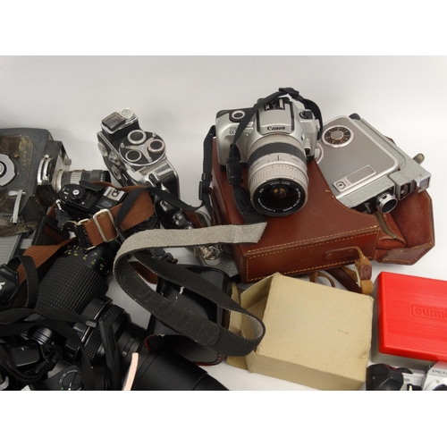 291 - Two boxes of assorted cameras lenses and accessories including Nikon, Minolta, Senton and Pentax exa... 