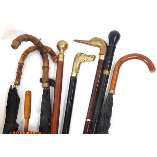 121 - Collection of walking sticks, umbrellas and parasols, some with brass animal head handles, with a pi... 