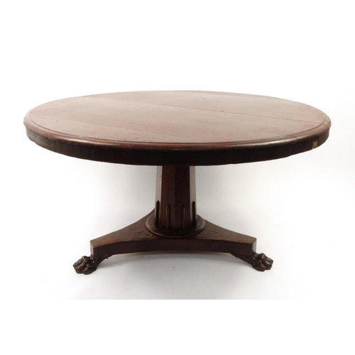 2057 - Circular Victorian mahogany snap top table with lion paw feet, 75 cm high x 135cm diameter
