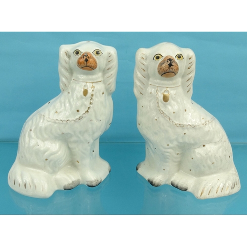 247 - Pair of Victorian Staffordshire seated spaniels, 24cm high