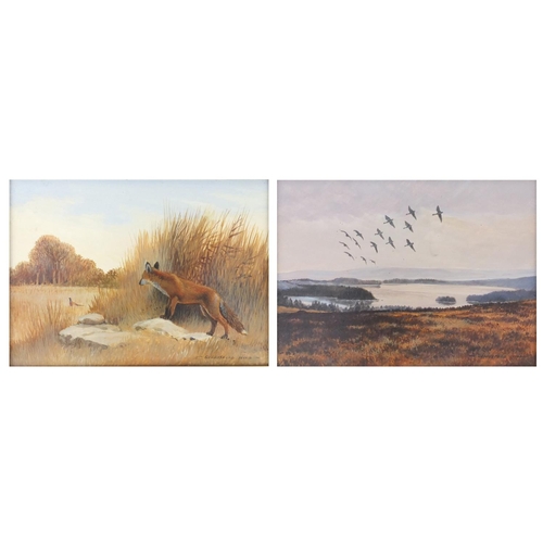 1005 - Berrisford Hill - Two oil onto board views, one of greylag geese, the other of a fox and a pheasant,... 