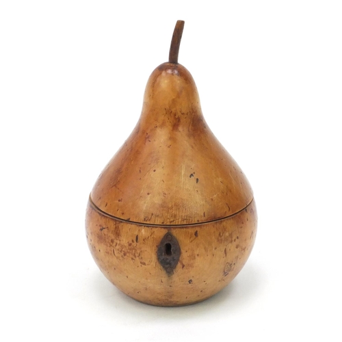 64 - Fruit wood tea caddy in the form of a pear, 14cm high