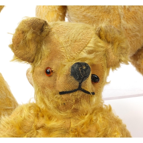 444 - Group of seven mostly golden teddy bears including some straw filled with jointed limbs, the tallest... 