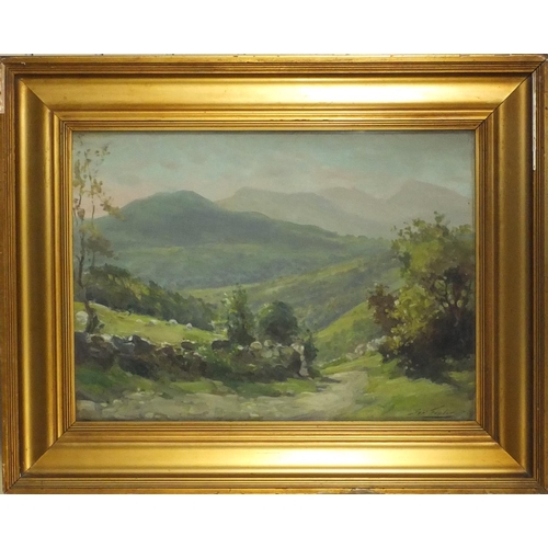 1025 - Robert Fowler - Oil onto canvas view of a landscape before mountains, gilt framed, 56cm x 40cm exclu... 