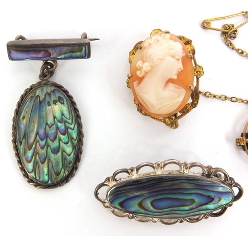 891 - Two silver abalone brooches, an unmarked gold coral cameo brooch and a gilt metal cameo brooch, the ... 