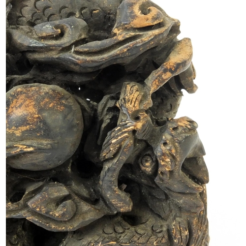 555 - Chinese root carving of two dragons chasing a pearl, 14cm high