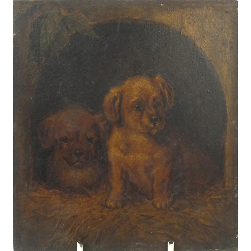 967 - Two unframed antique oil onto panel views of seated dogs, each 17cm x 15cm