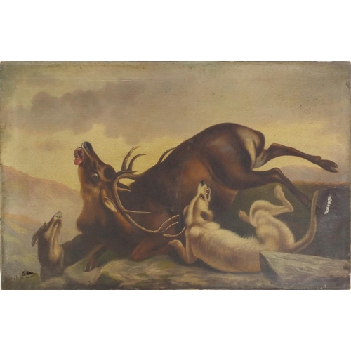 991 - Unframed oil onto canvas view of wild animals, signed Becko, 76cm x 53cm