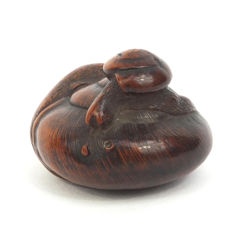 510 - Japanese finely carved hardwood netsuke of two entwined snails, character marks to the base possibly... 