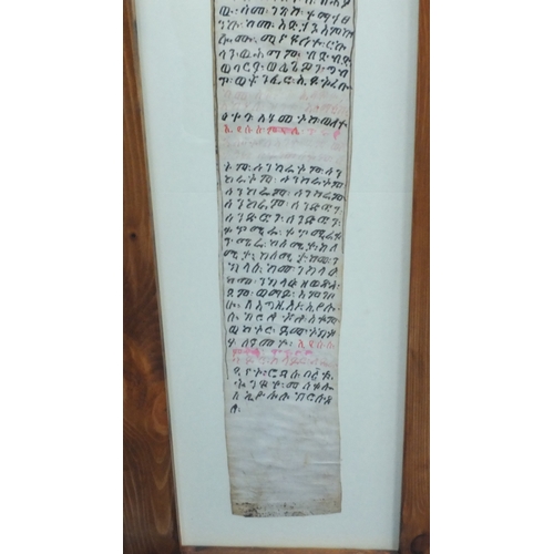 336 - Early 19th century Ethiopian skin prayer belt, with ink Christian script, mounted and framed, 190cm ... 