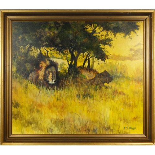 2153 - 1960's oil onto board view of wildlife, bearing a signature F T Daws, gilt frame, 69cm x 60cm exclud... 