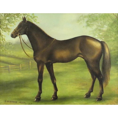 2270 - Oil onto canvas view of a race horse 'Tommy', bearing a signature F M Holland, framed, 44cm x 34cm e... 