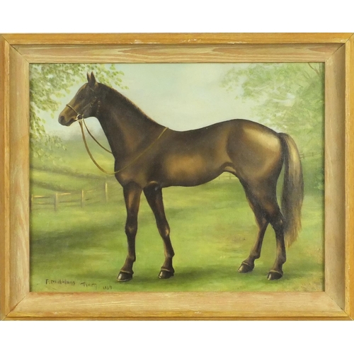 2270 - Oil onto canvas view of a race horse 'Tommy', bearing a signature F M Holland, framed, 44cm x 34cm e... 