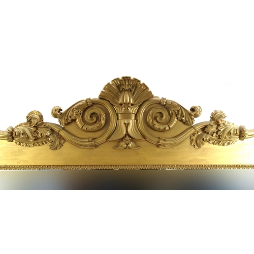 2004 - Large carved gilt wood mirror with shell and acanthus leaf  crest, 200cm high x 160cm wide