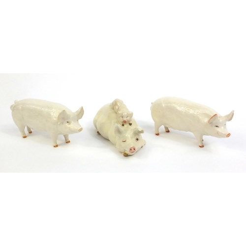 2117 - Three Beswick model pigs including CH Wall Boy 53, CH Wall Queen 40, each with factory marks to the ... 