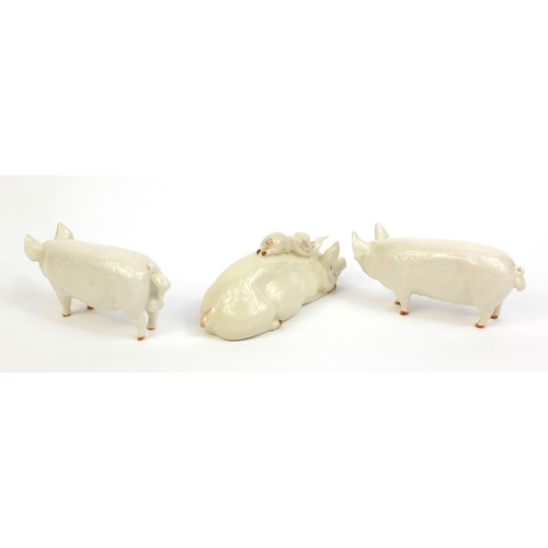 2117 - Three Beswick model pigs including CH Wall Boy 53, CH Wall Queen 40, each with factory marks to the ... 