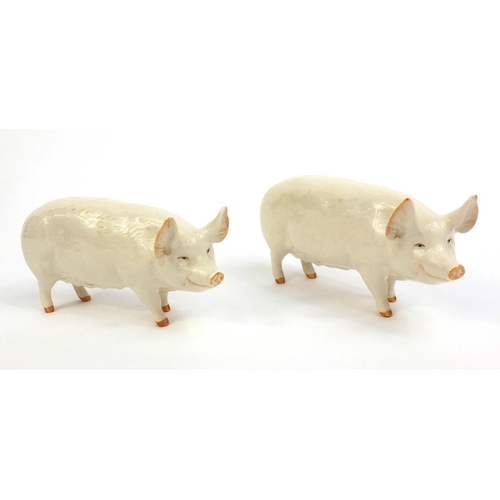 2118 - Two Beswick CH Wall Queen 40 model pigs, each with factory marks to the base, each 6,5cm high