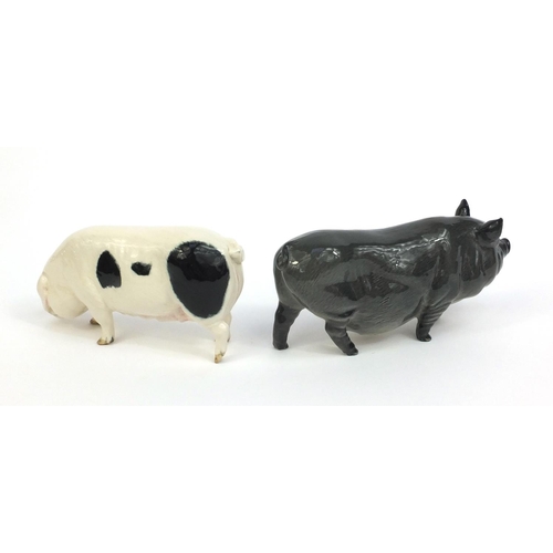 2119 - Two Royal Doulton model pigs, both with factory marks to the base, the tallest 7cm high