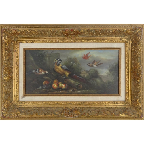 2274 - Oil onto board view of a bird, bearing an indistinct signature, mounted and gilt framed, 39cm x 19cm... 