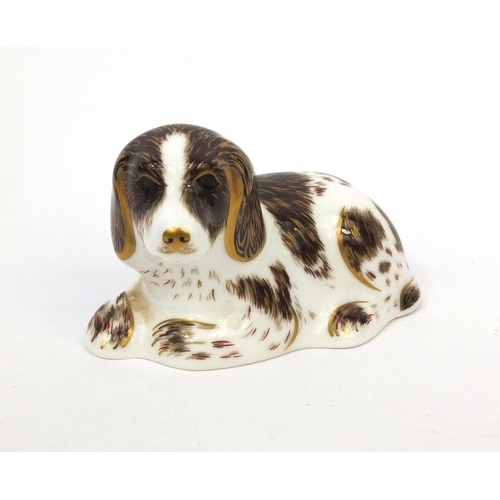 2061 - Royal Crown Derby Scruff paperweight with gold stopper, 5cm high