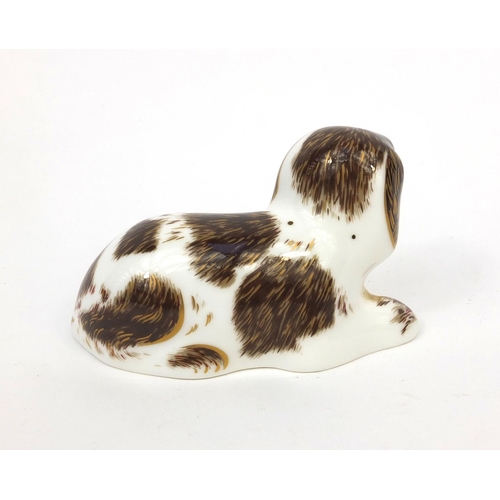 2061 - Royal Crown Derby Scruff paperweight with gold stopper, 5cm high