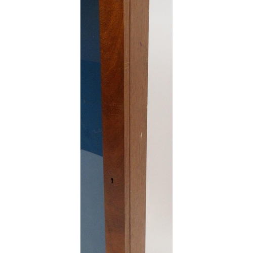 44 - Glazed mahogany poster display case, 102cm high x 69cm wide x 9cm deep