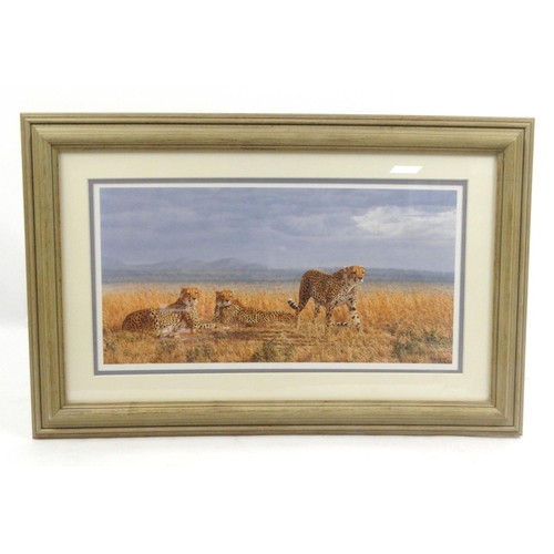 39 - Simon Combes pencil signed limited edition print of Cheetahs, No.202/950, 70cm x 36cm excluding the ... 