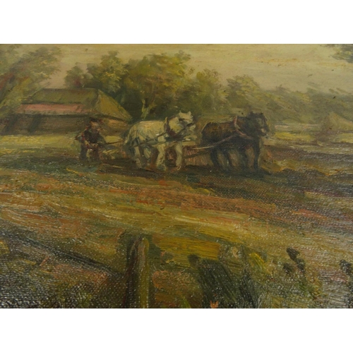40 - Oil onto board study of cattle and trees, bearing a signature G Boyle, 65cm x 38cm excluding the fra... 