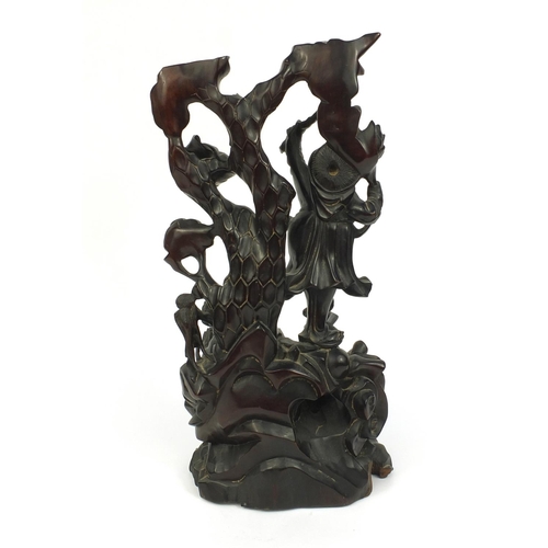 815 - Chinese hardwood root carving of two figures standing upon a tree, paper label to the base, 43cm hig... 