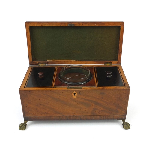 17 - Victorian mahogany twin divisional tea caddy with banded inlay, raised on brass claw and ball feet, ... 